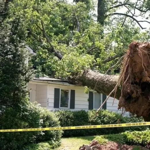 Storm Damage Repair Services in Ellicott City, MD